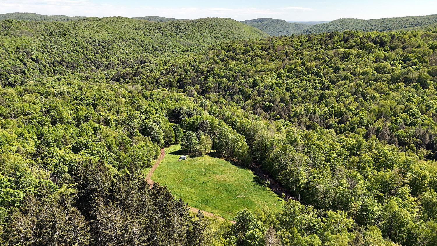 John Milk Road, Long Eddy, New York image 48