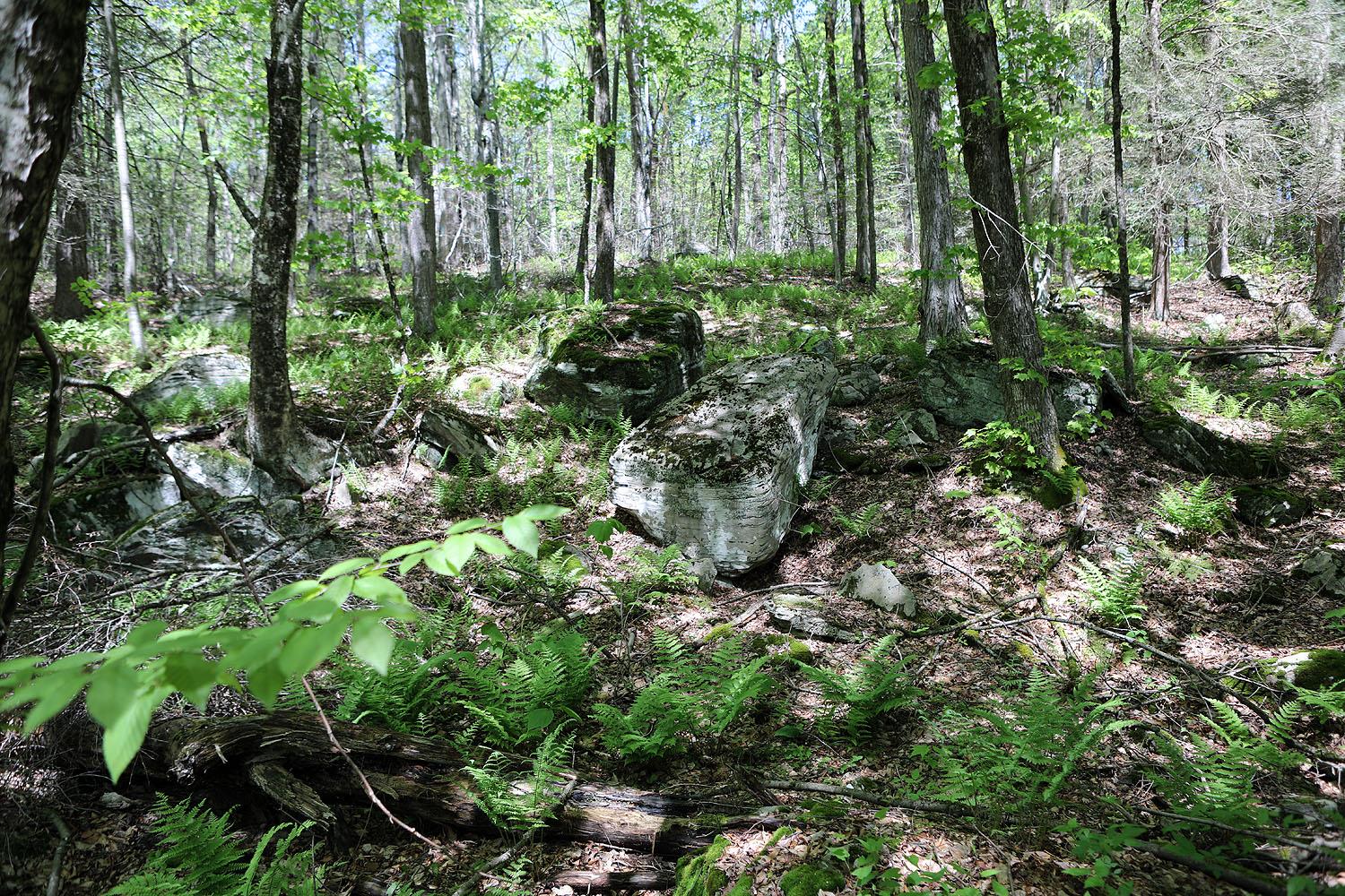 John Milk Road, Long Eddy, New York image 14