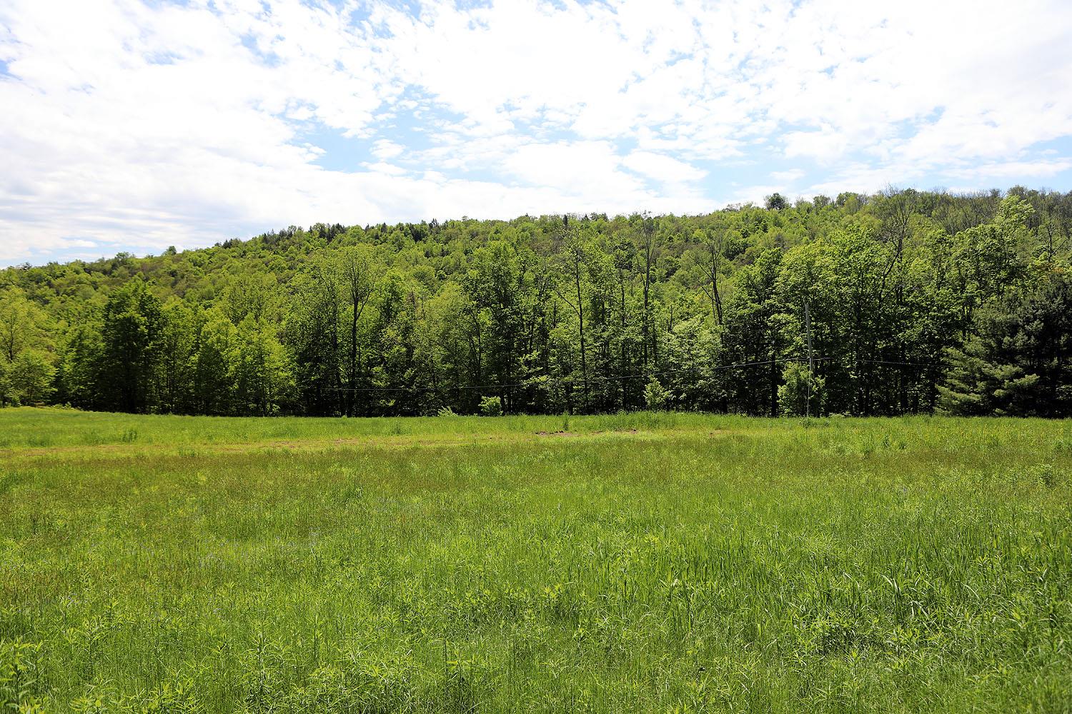 John Milk Road, Long Eddy, New York image 10