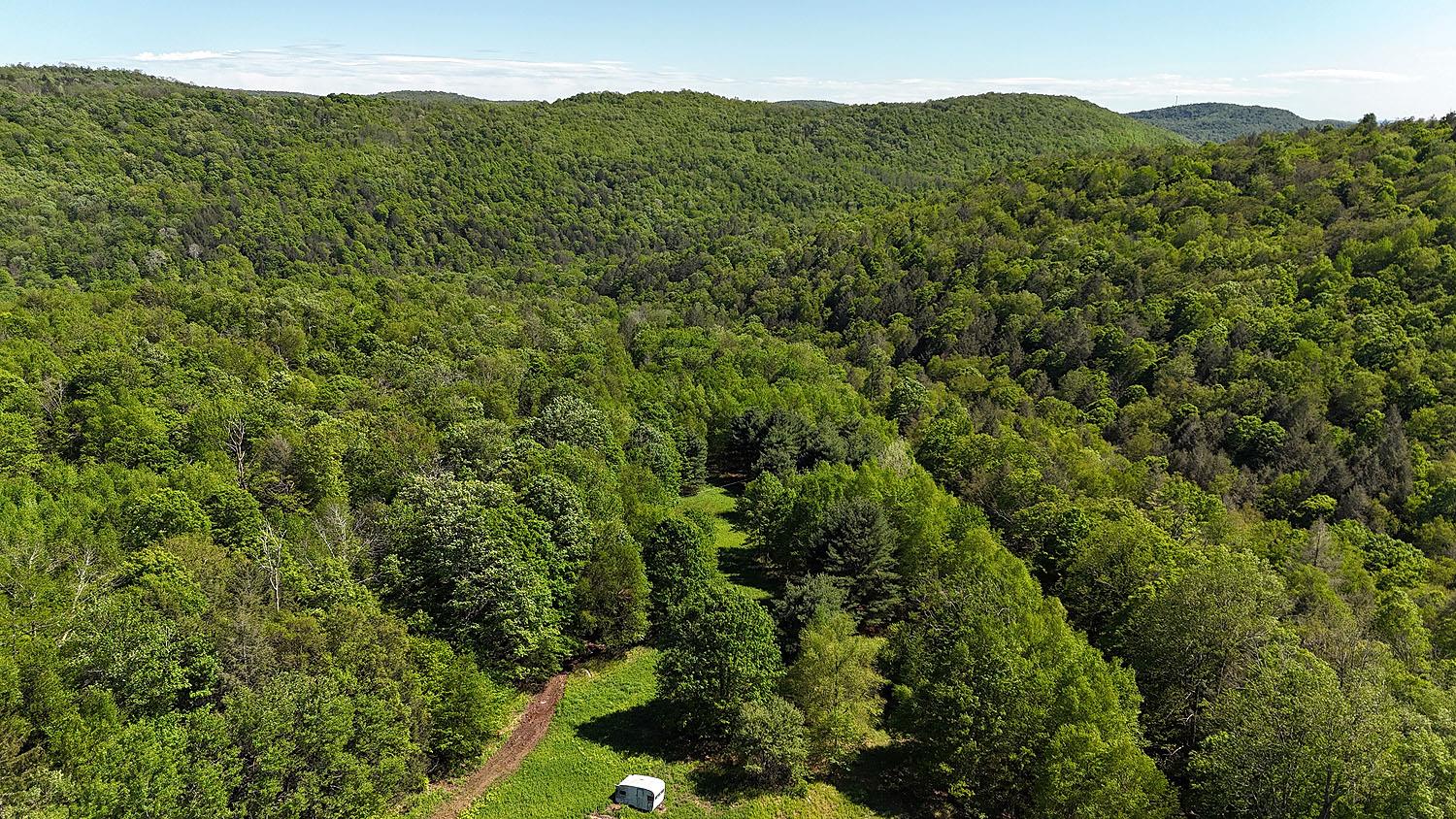 John Milk Road, Long Eddy, New York image 45