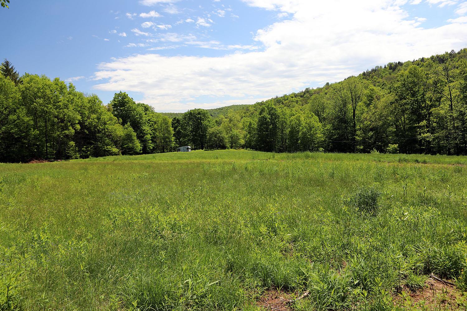 John Milk Road, Long Eddy, New York image 7