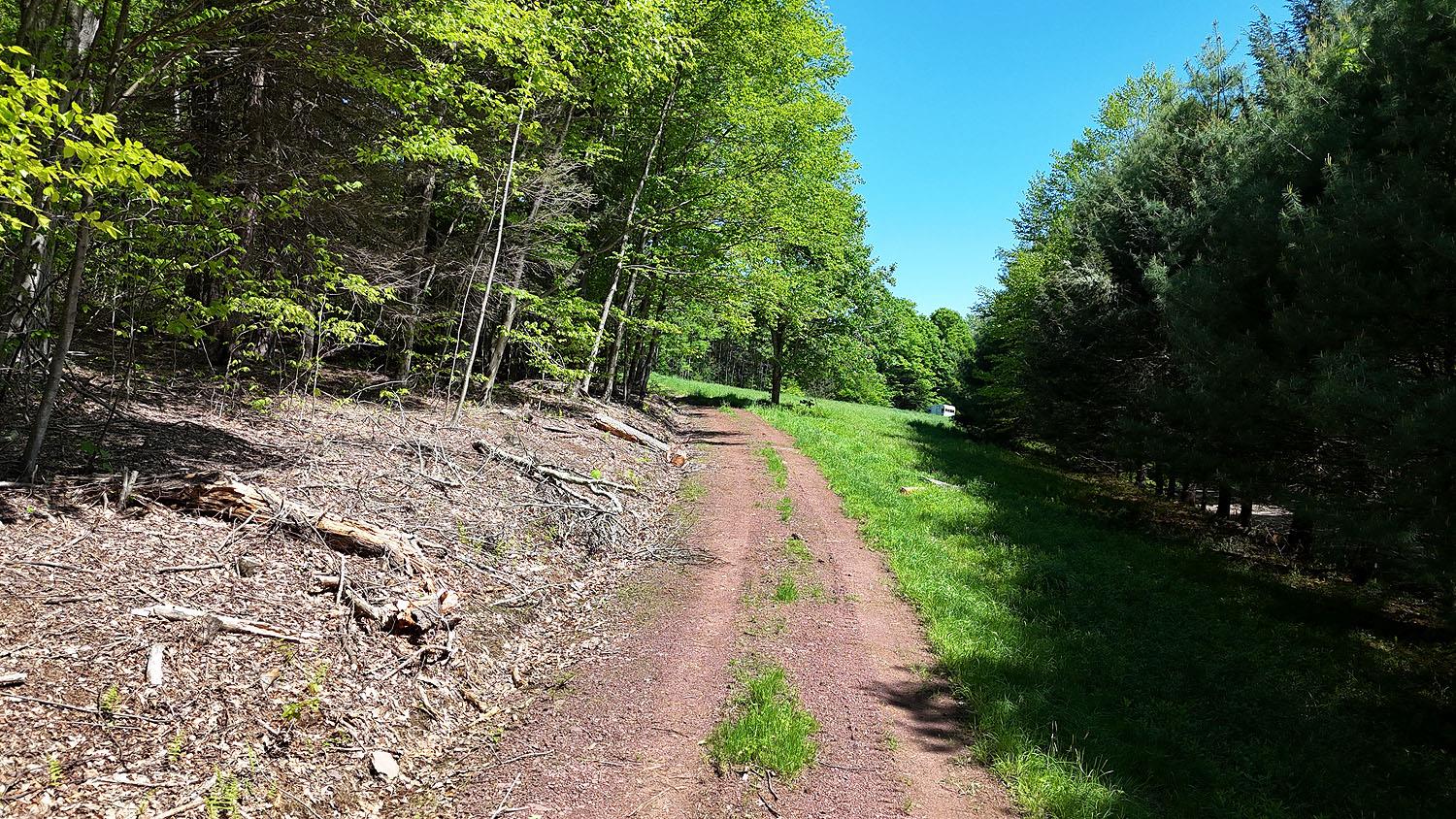 John Milk Road, Long Eddy, New York image 20