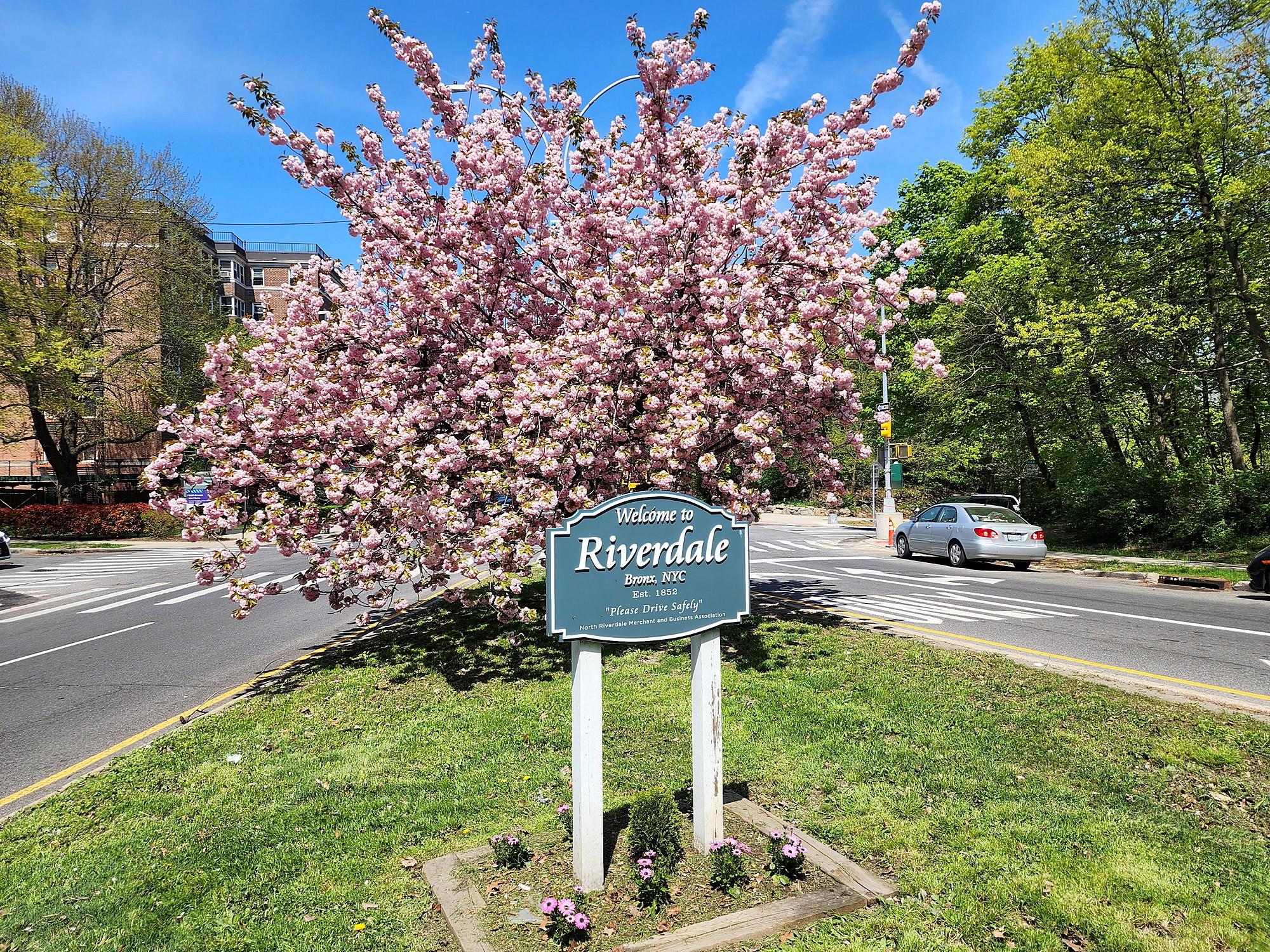 5450 Valles Avenue, Bronx, New York image 33
