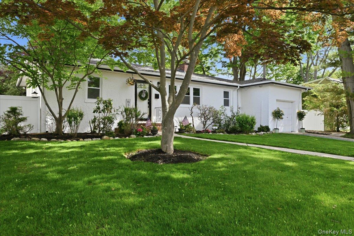 241 Commonwealth Avenue