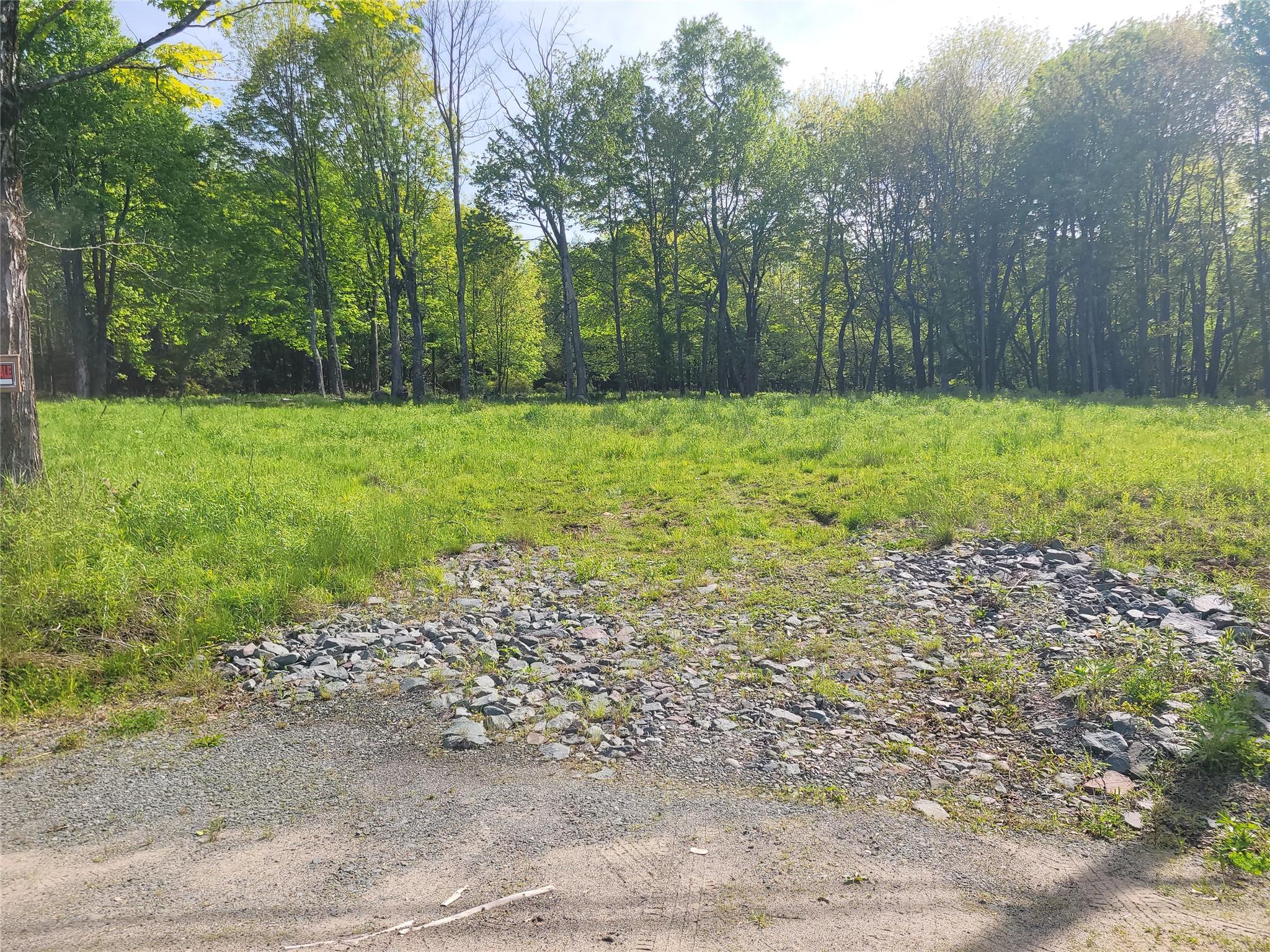 Tanzman, Parksville, New York image 3
