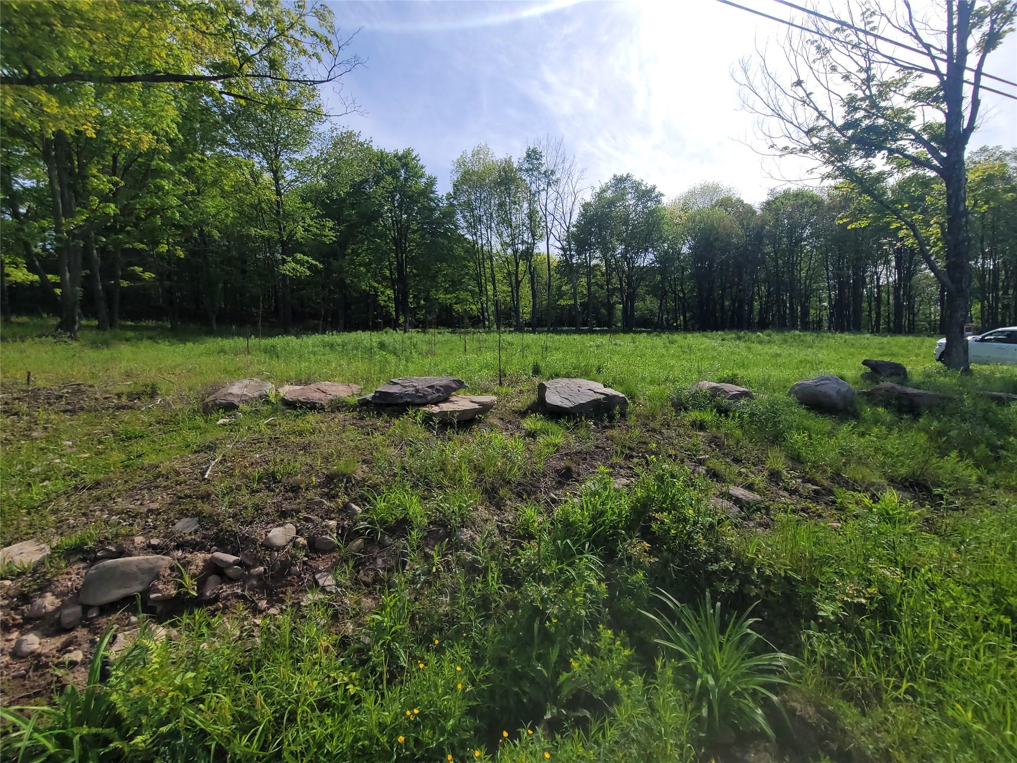 Tanzman, Parksville, New York image 1
