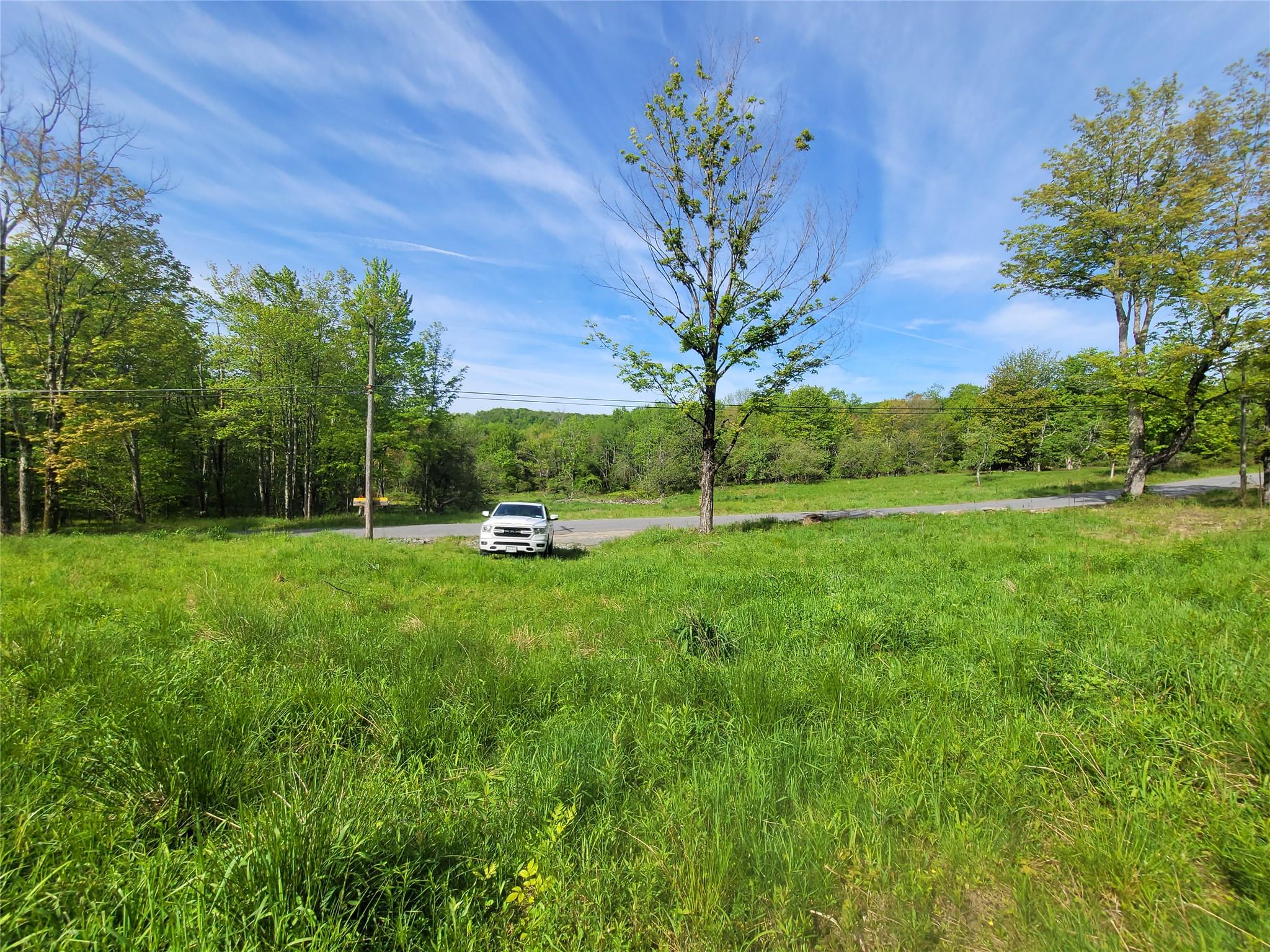 Tanzman, Parksville, New York image 4