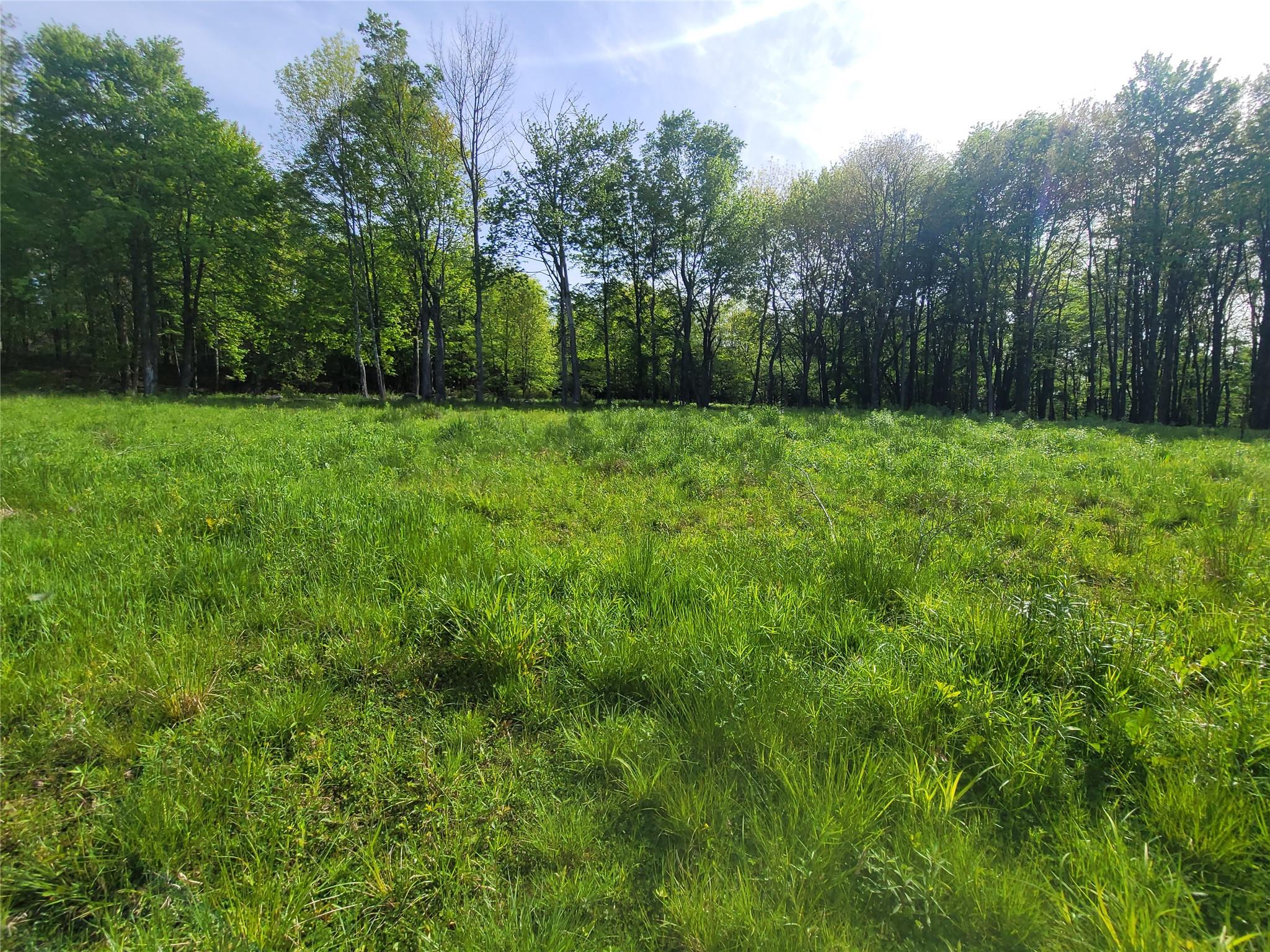 Tanzman, Parksville, New York image 2