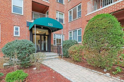 555 Broadway 6E Hastings-on-Hudson NY 10706