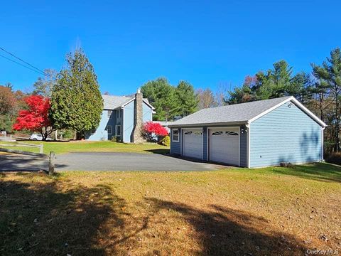 Homes For Sale - 107 Eldred Yulan Road<br/> Eldred, NY 12732