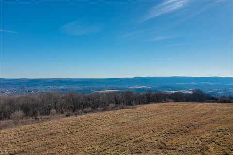 Vacant Land For Sale - 1297 Route 343<br/> Dover Plains, NY 12522