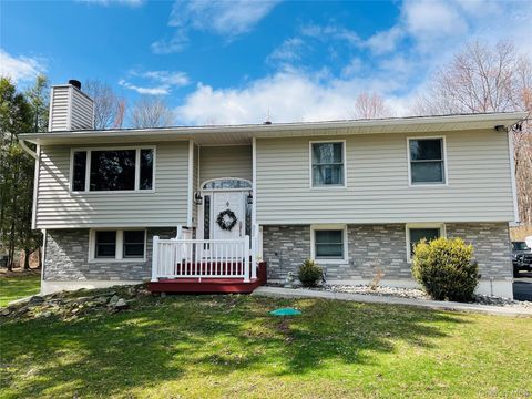 Homes For Sale - 226 White Pond Road<br/> Stormville, NY 12582
