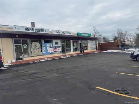 1217 25A N Smithtown NY 11787