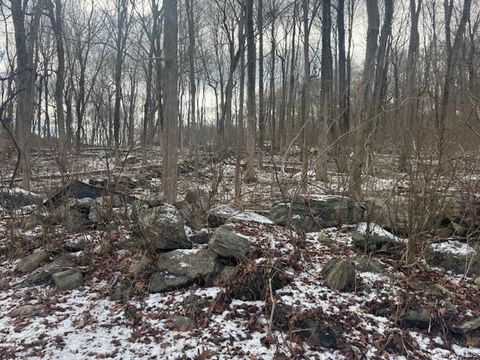 Vacant Land For Sale - Lot 3  Eder Road<br/> Stormville, NY 12582