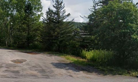 Vacant Land For Sale - 00 Crescent Hill Road<br/> Andes, NY 13731