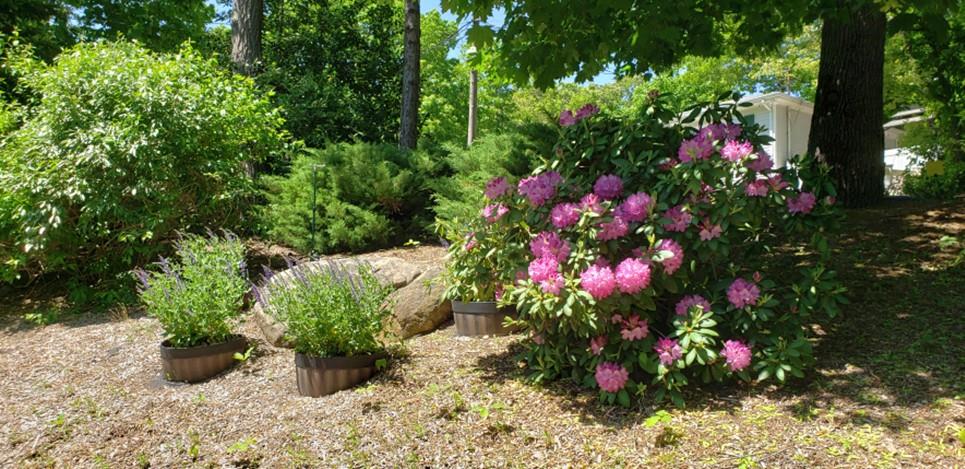 6 Park Drive, Rocky Point, New York image 27