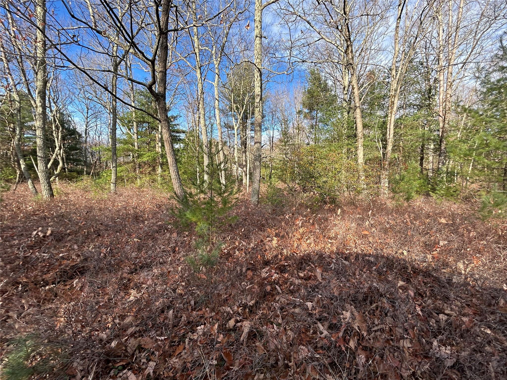 Lot 23.8 Kalin Weber Road, Glen Spey, New York image 4