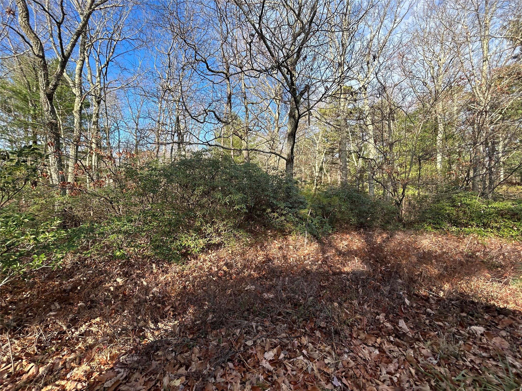 Lot 23.8 Kalin Weber Road, Glen Spey, New York image 5