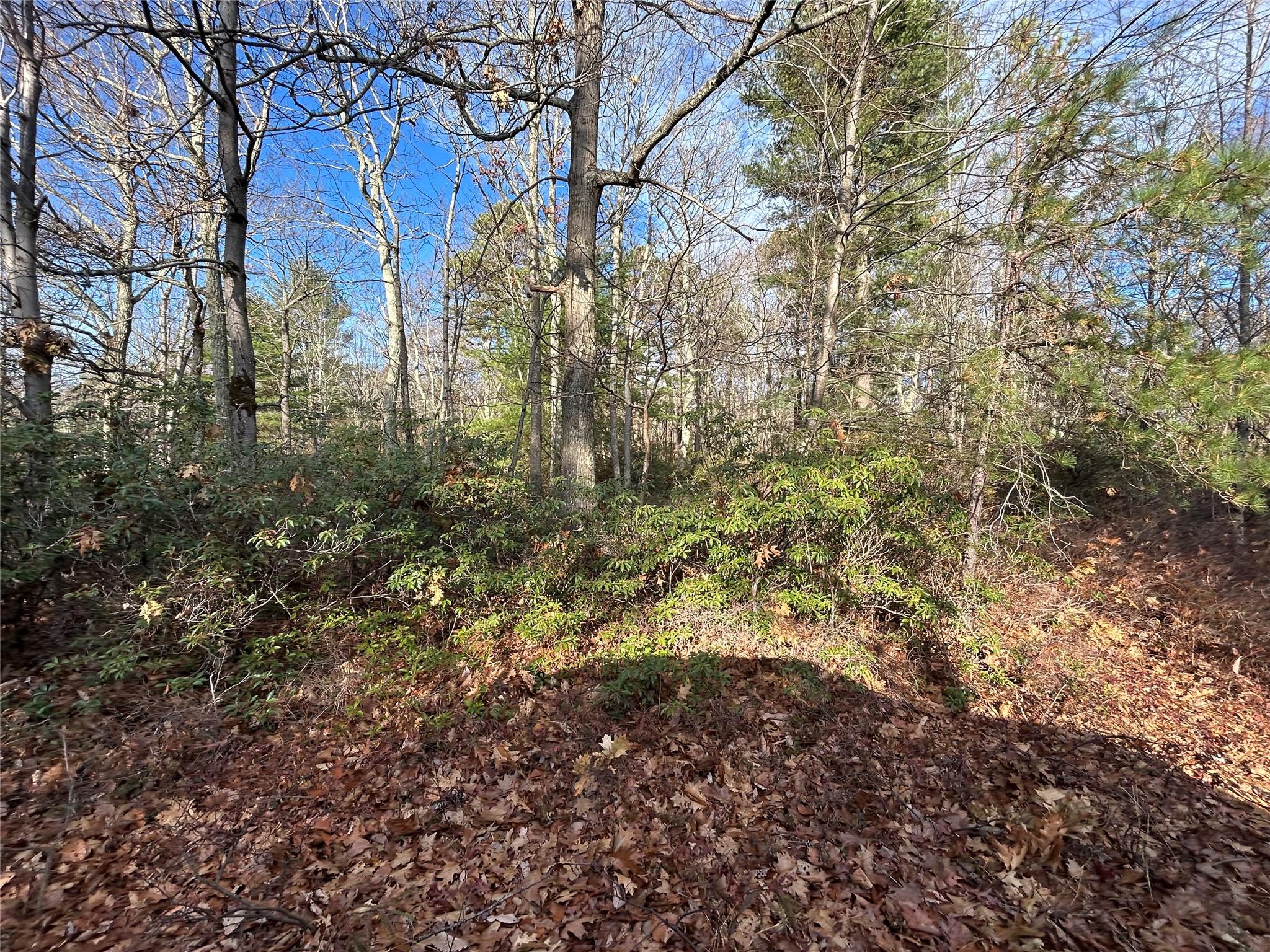 Lot 23.8 Kalin Weber Road, Glen Spey, New York image 6