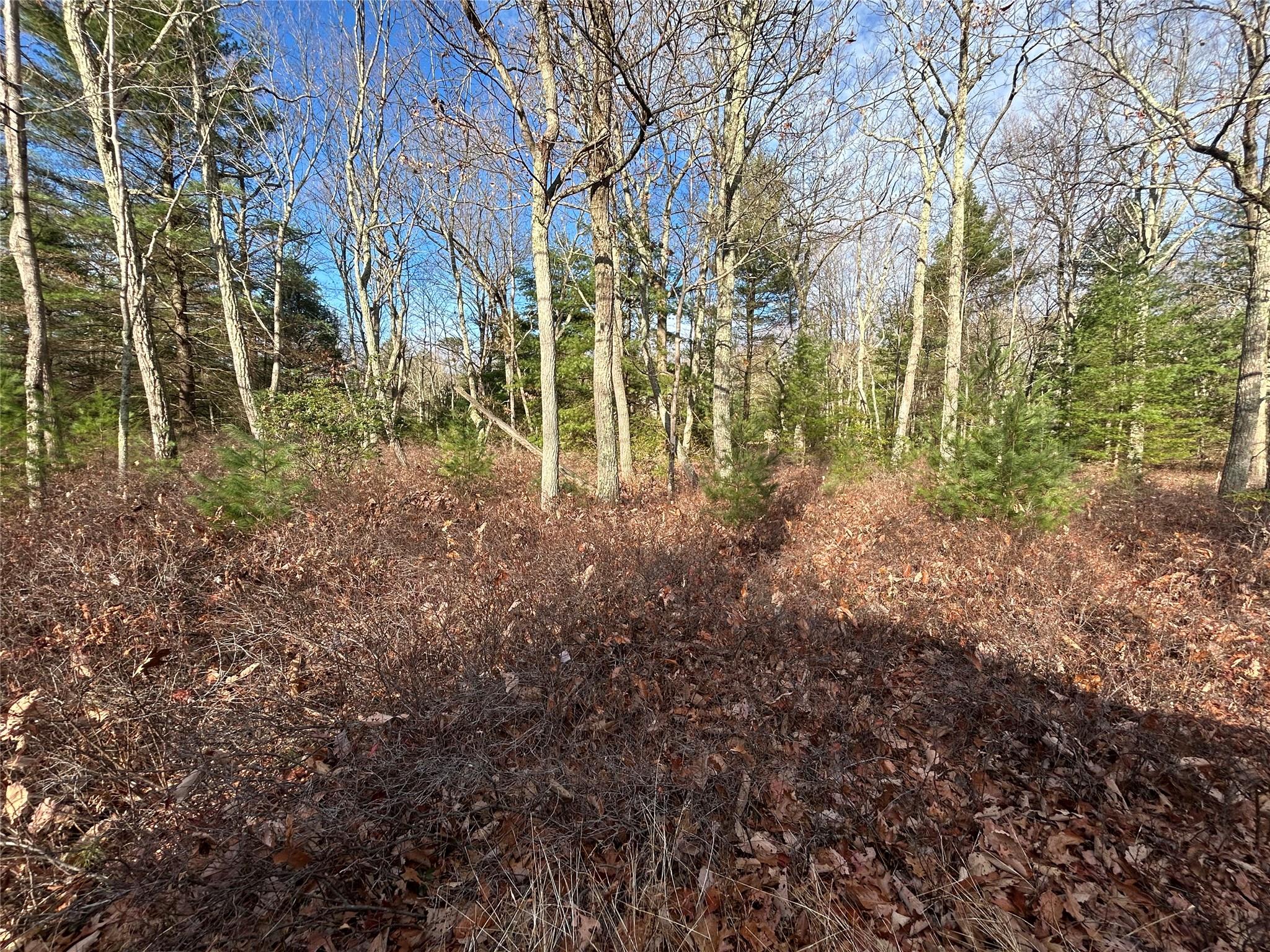 Lot 23.8 Kalin Weber Road, Glen Spey, New York image 3