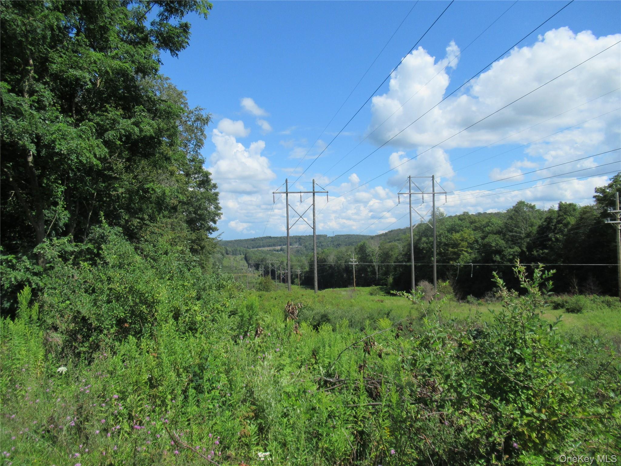 TBD Ferndale Road