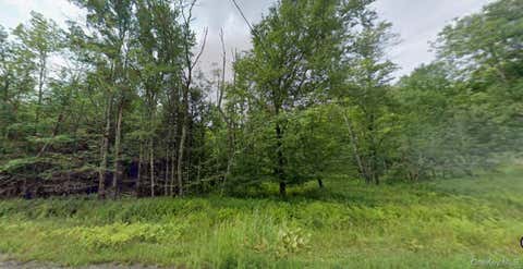Vacant Land For Sale - 780 Tanzman Road<br/> Sullivan County, Parksville, NY 12768