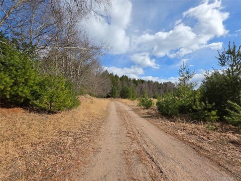 TBD Bobwhite Trail Mongaup Valley NY 12762
