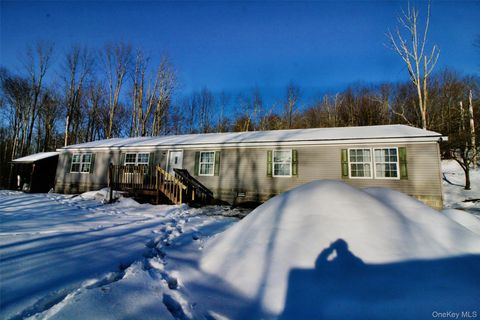 Homes For Sale - 76 Parks Road<br/> Livingston Manor, NY 12758