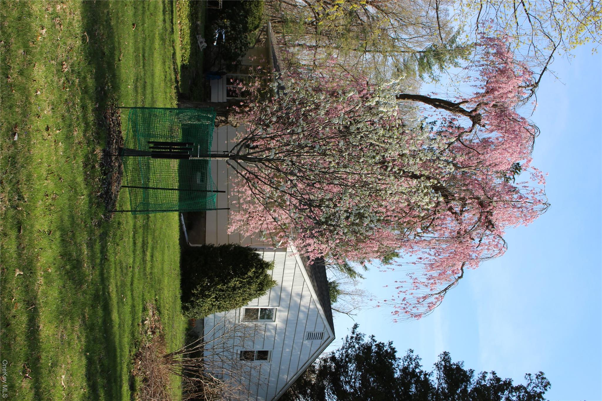 21 Elmwood Road