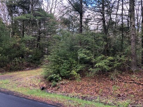 Vacant Land For Sale - Crawford Road<br/> Barryville, NY 12528