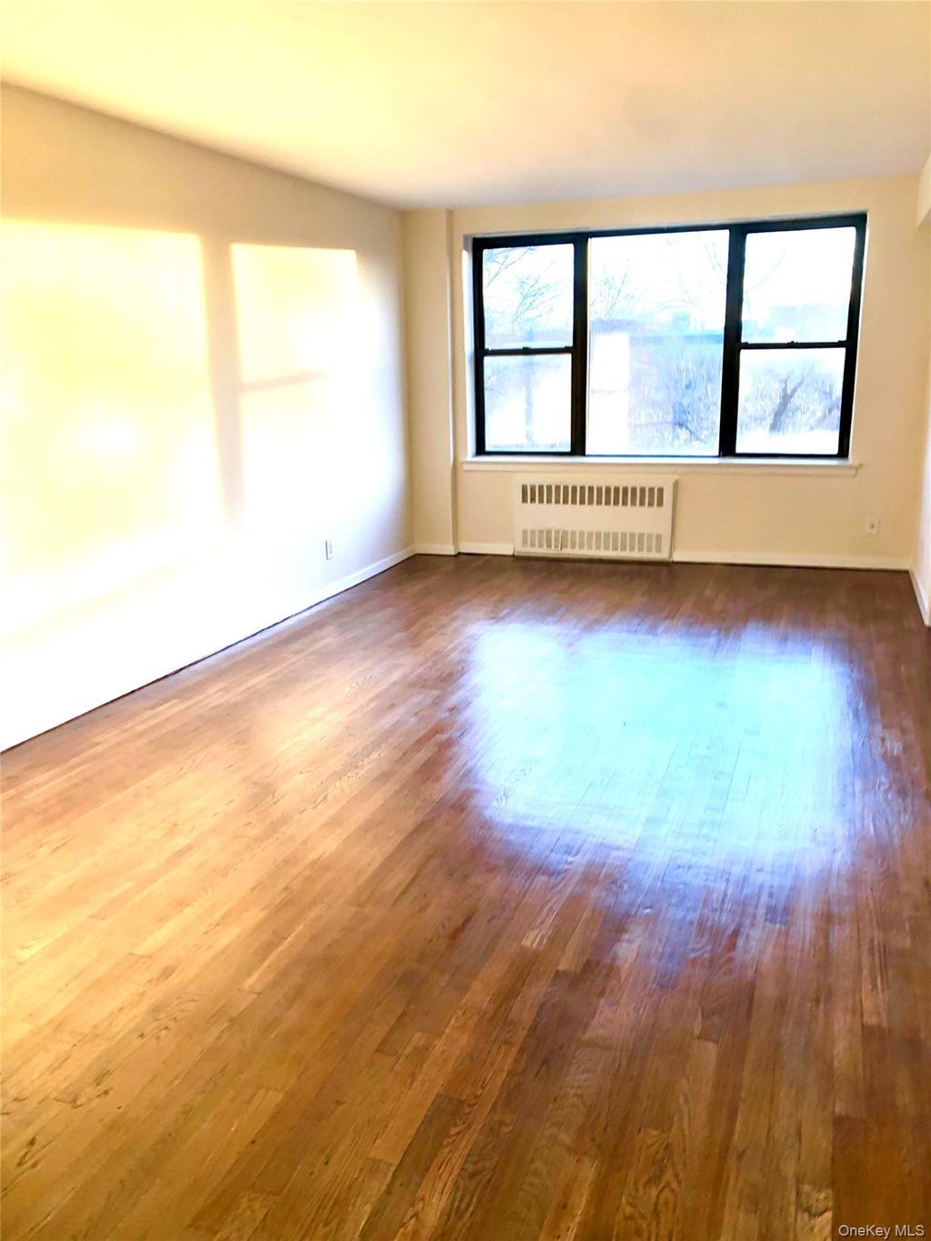 Photo of 4315 Webster Avenue #4E, Bronx, NY 10470 (MLS # 891312)