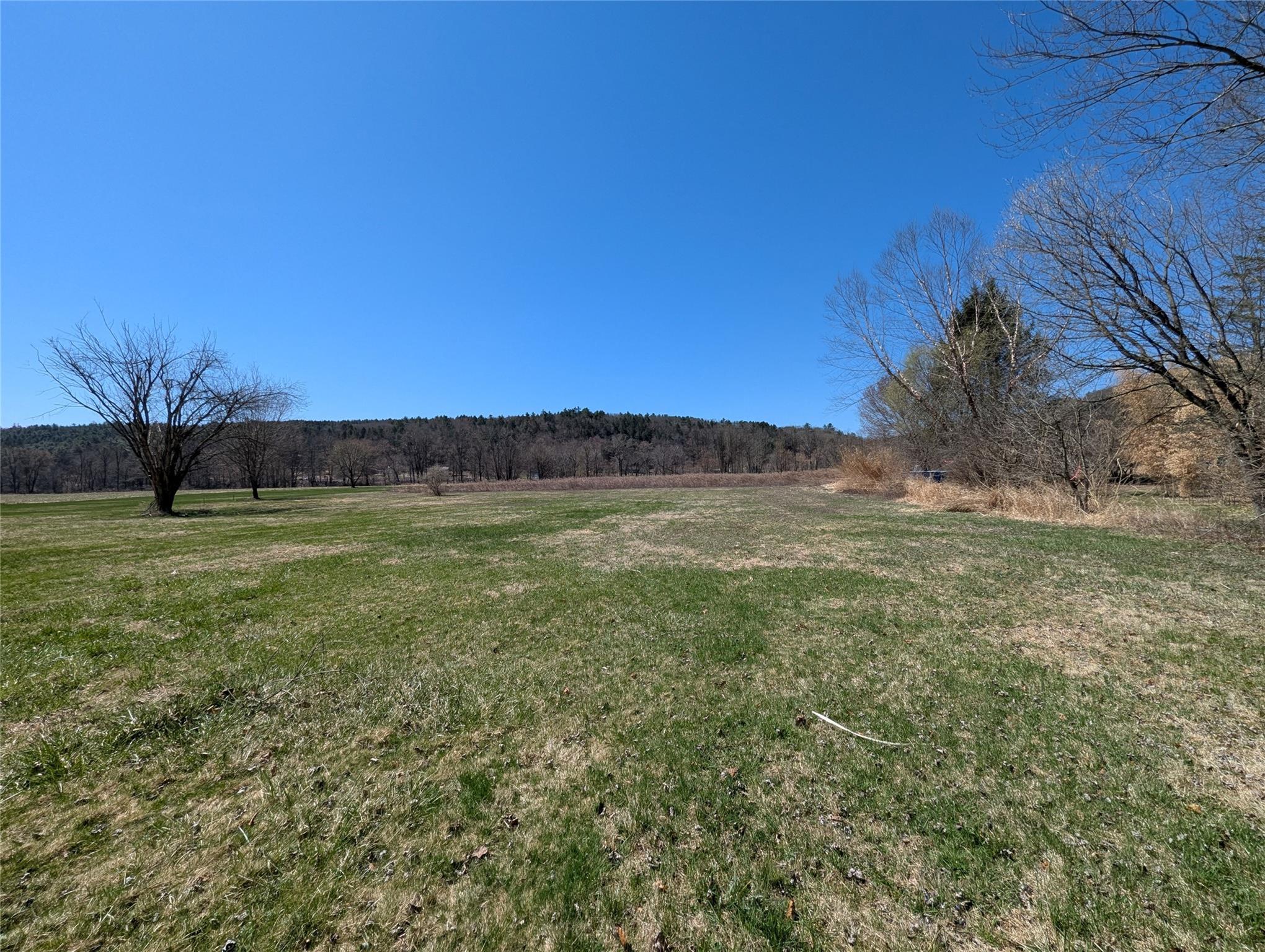 88 Cochecton Road, Cochecton, New York image 1
