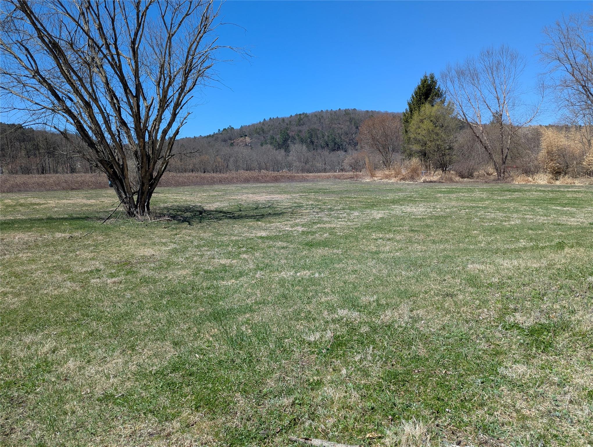 88 Cochecton Road, Cochecton, New York image 13