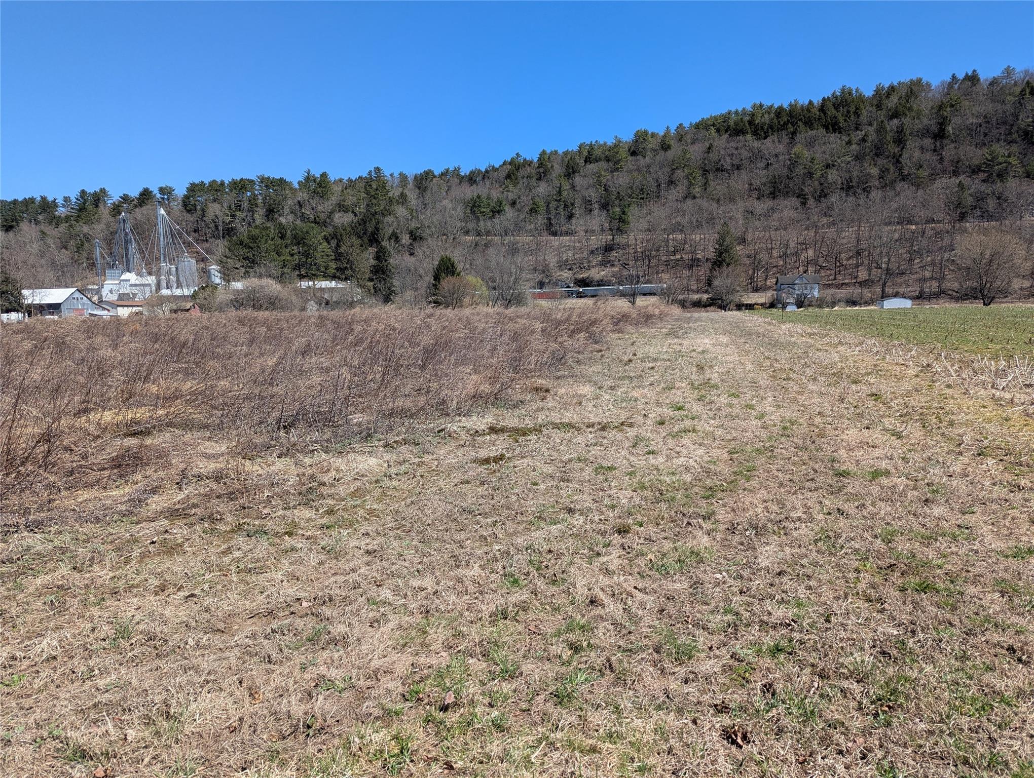 88 Cochecton Road, Cochecton, New York image 12