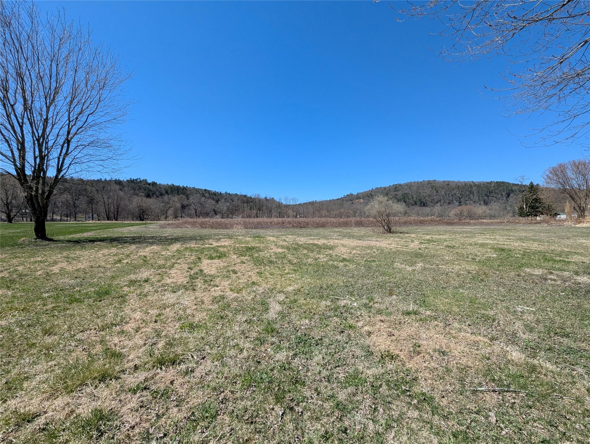 88 Cochecton Road, Cochecton, New York image 6
