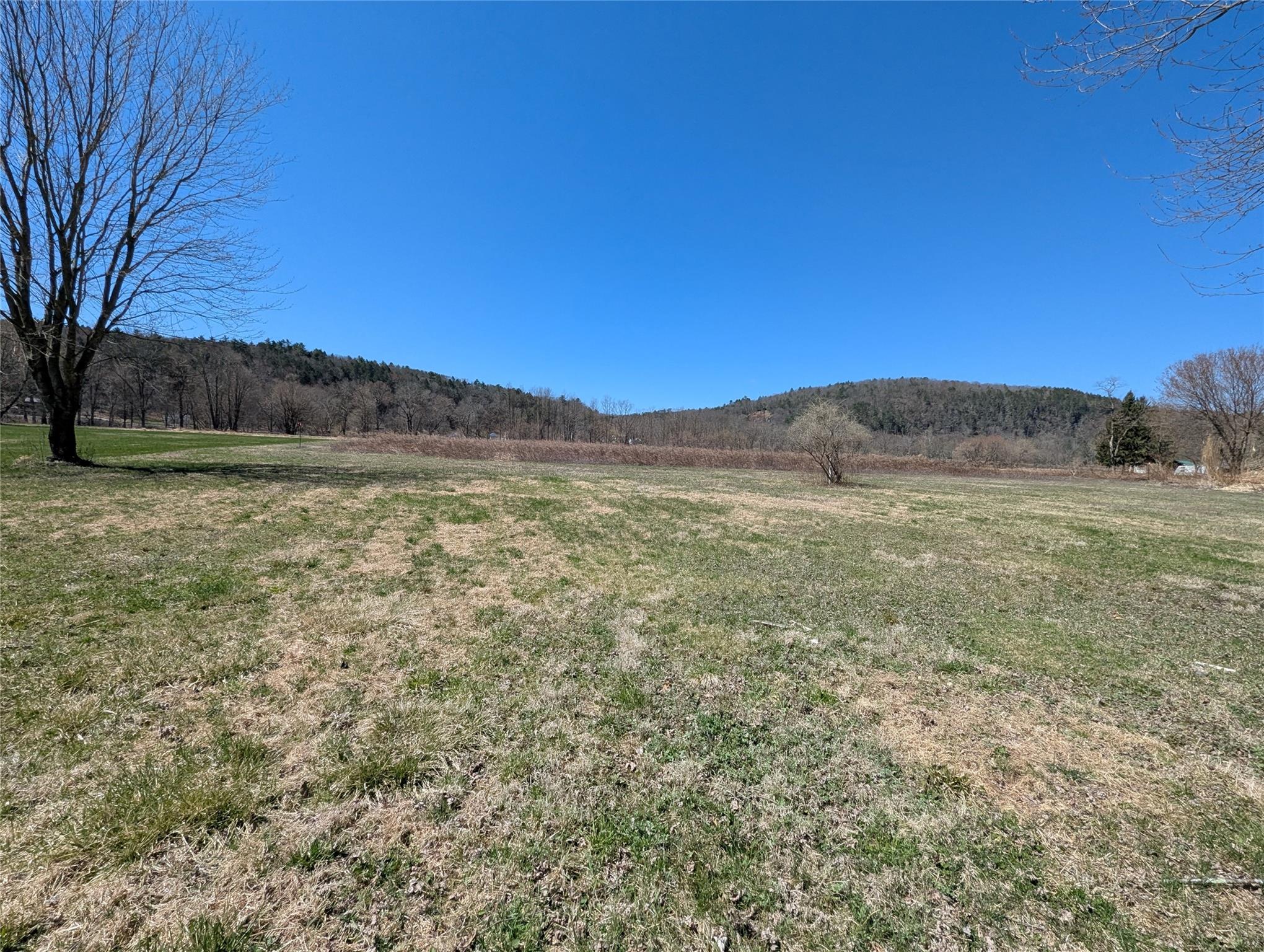 88 Cochecton Road, Cochecton, New York image 7
