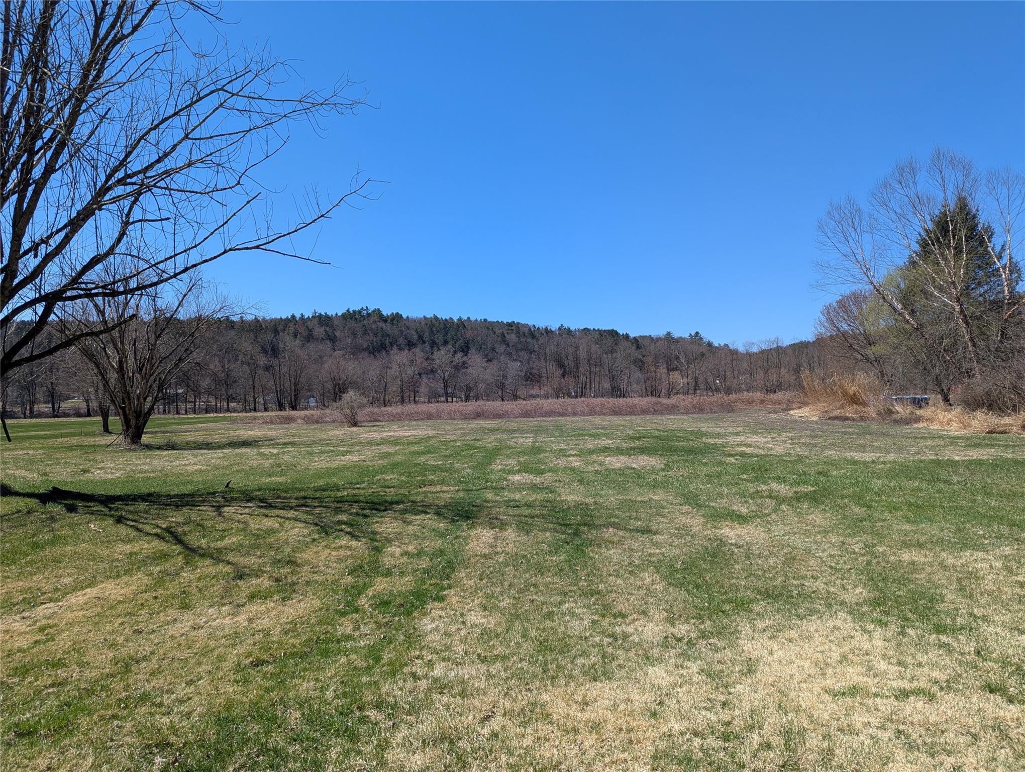 88 Cochecton Road, Cochecton, New York image 2