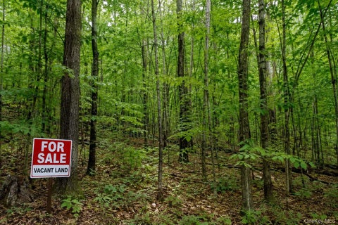 Vacant Land For Sale - Patrick St<br/> Westhampton Beach, NY 11978