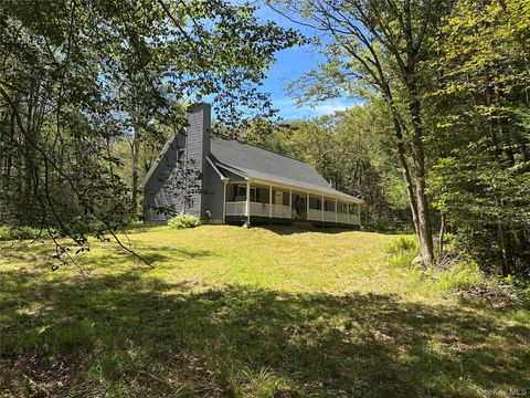 Homes For Sale - 64 Schleiremacher Rd<br/> Livingston Manor, NY 12758