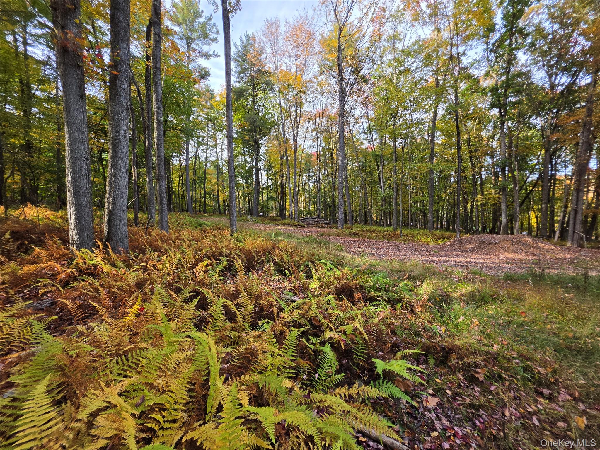 TBD Evergreen Lane