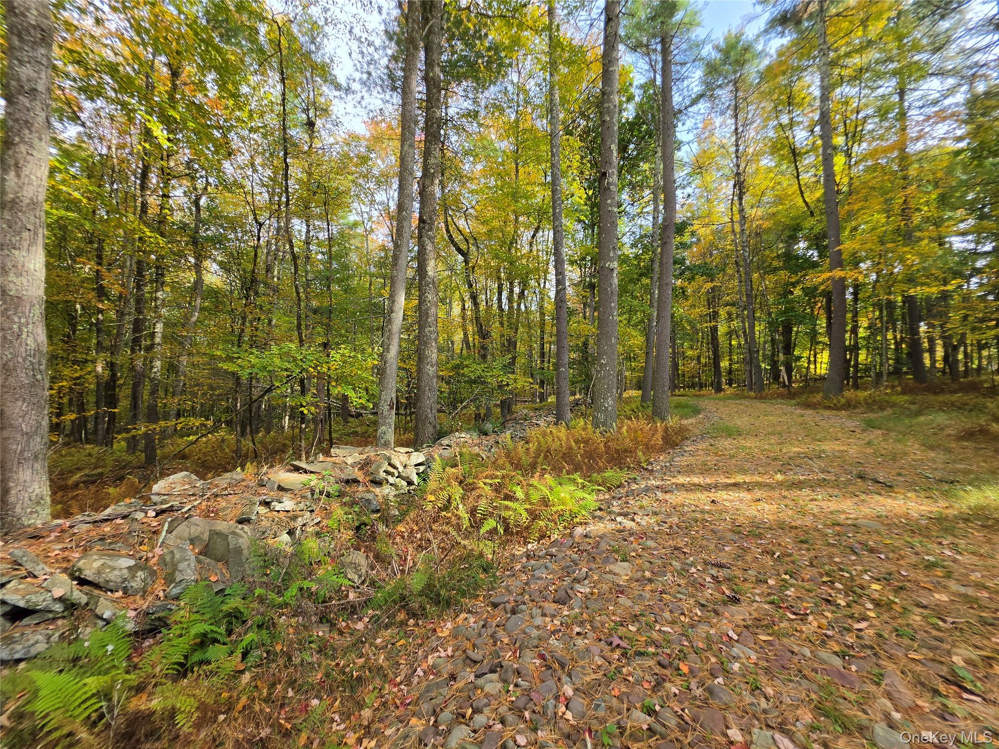 TBD Evergreen Lane