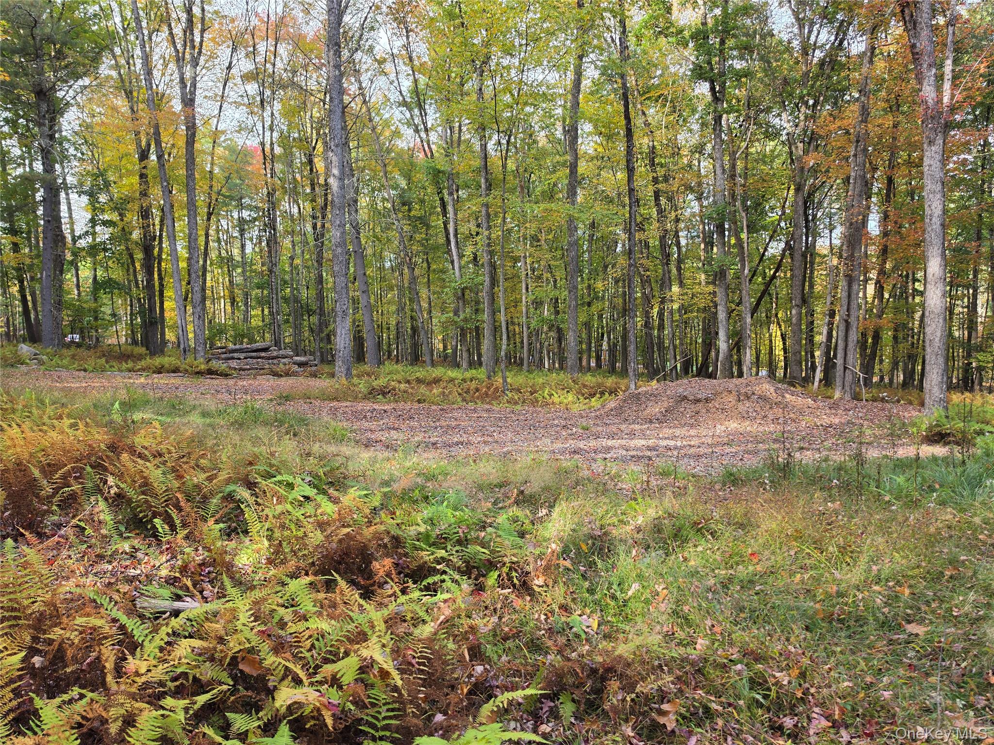 TBD Evergreen Lane