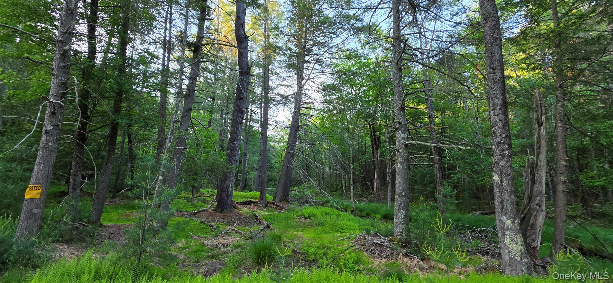 Lot 3.3 Old Tacy Road
