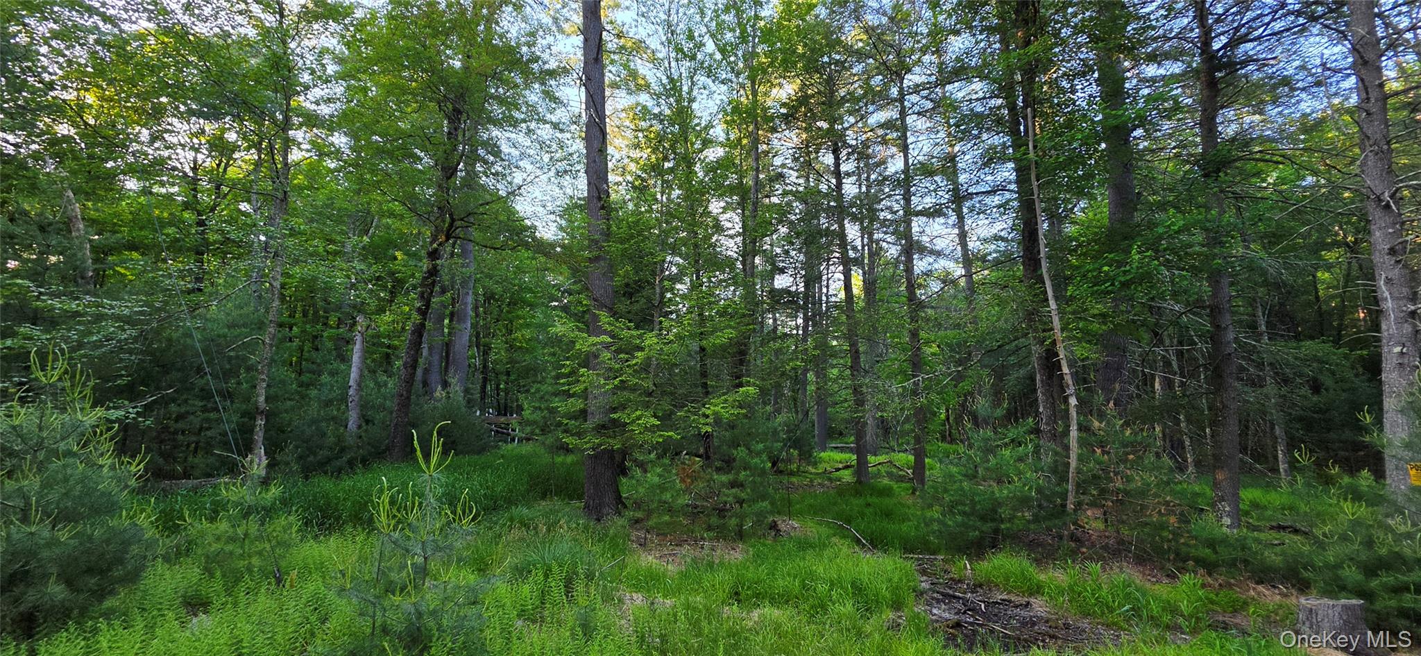 Lot 3.3 Old Tacy Road