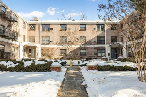 46 Terrace Circle 3F Great Neck NY 11021