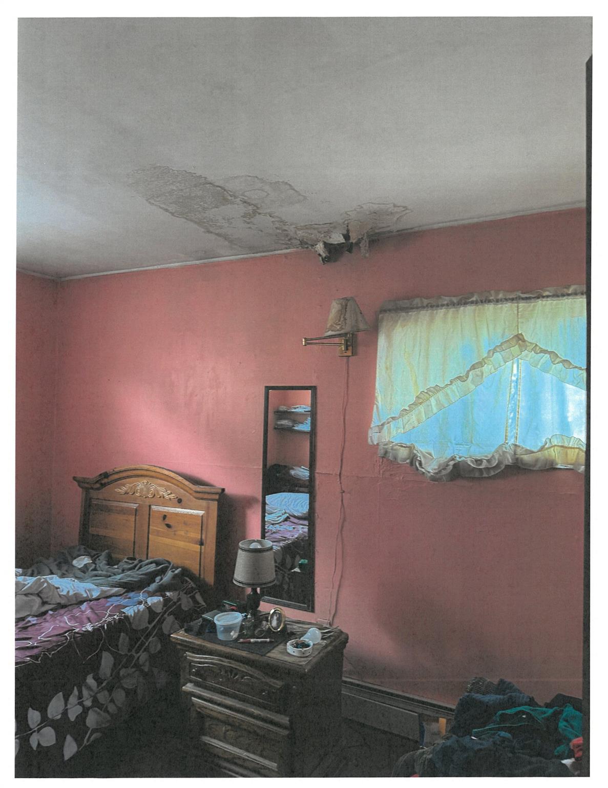 38 Hark Lane, Westbury, New York image 6