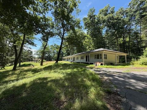 25 State Route 55 Barryville NY 12719