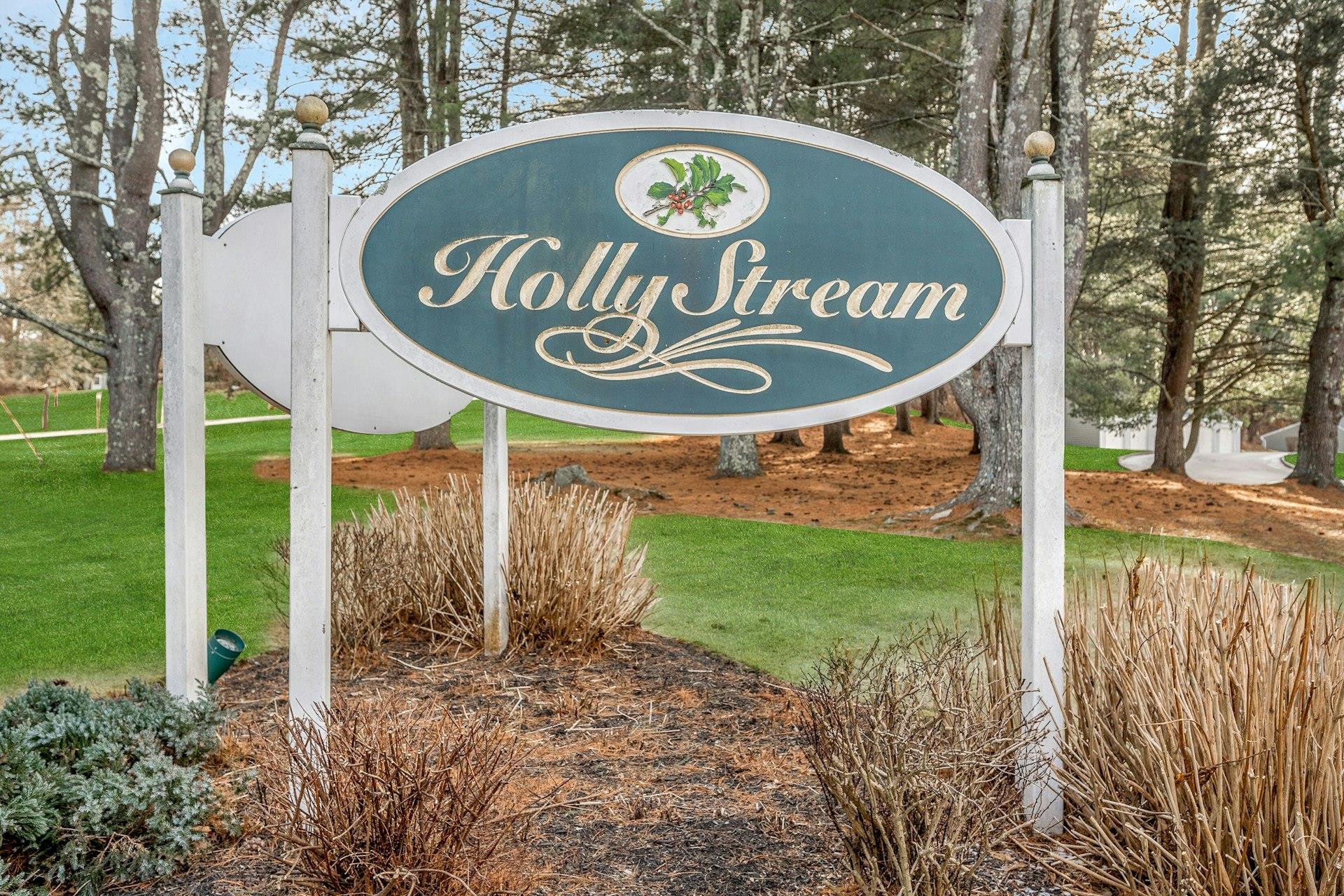 1403 Holly Stream Court #1403, Brewster, New York image 20