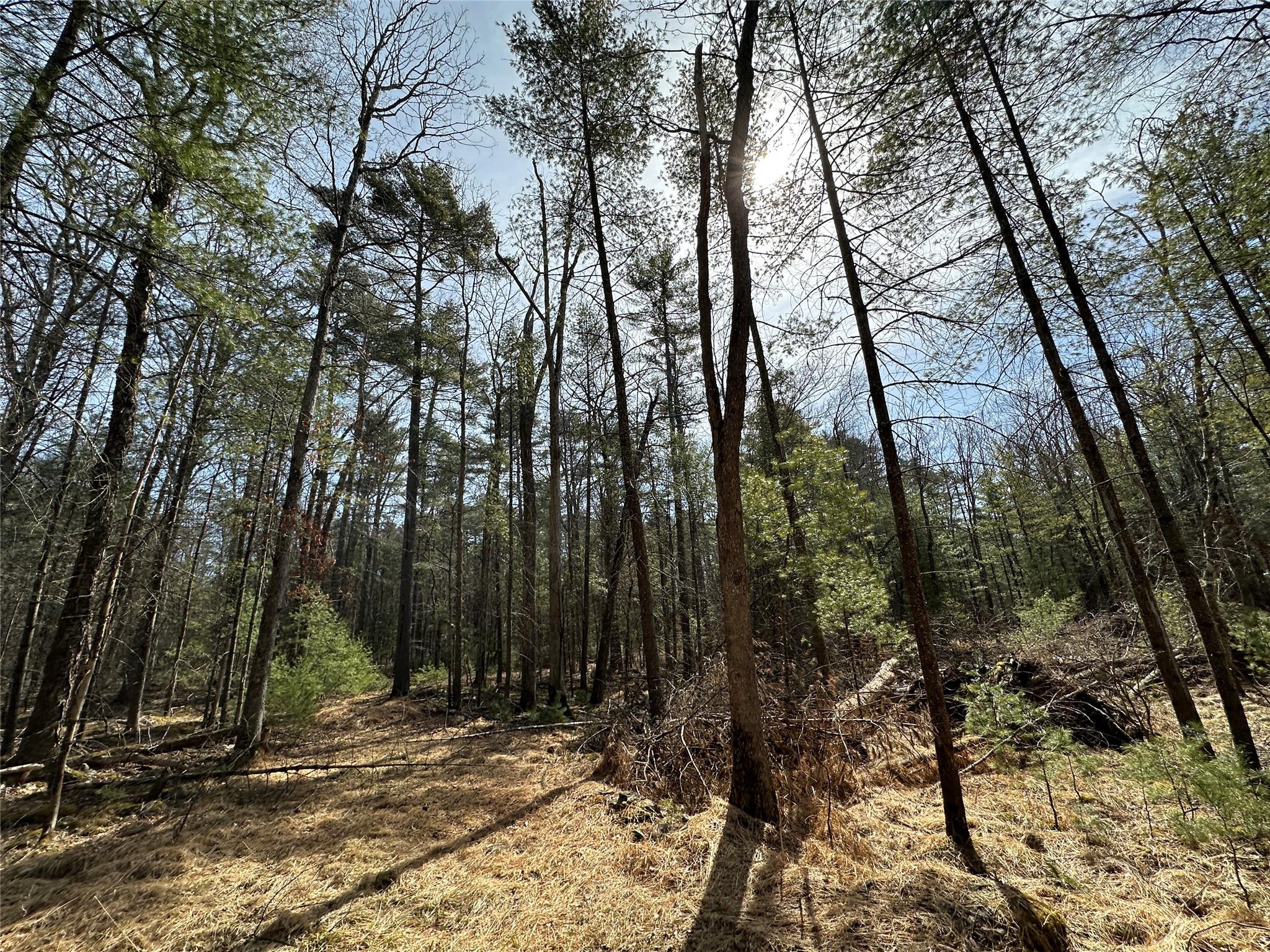 Lot 46 Summit Drive, Highland, New York image 7