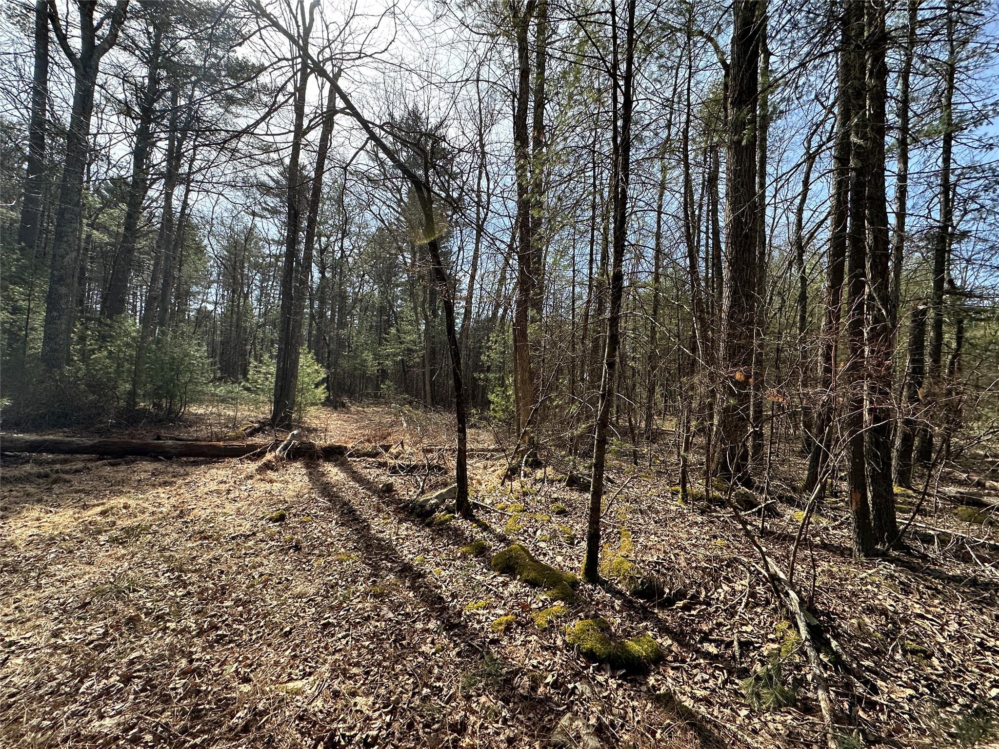 Lot 46 Summit Drive, Highland, New York image 8